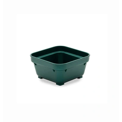 12pk Square Bowl 100mm Green