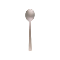 COAST SOUP SPOON DOZ
