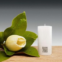 50x100mm SMOOTH FINISH CYLINDER -WHITE(4