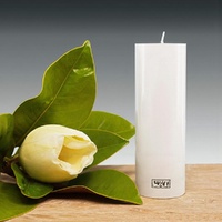 50x150mm SMOOTH FINISH CYLINDER -WHITE(4