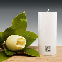 70x150mm Smooth Finish Cylinder -White(2